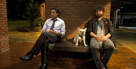 Due Date movie reviews and rankings