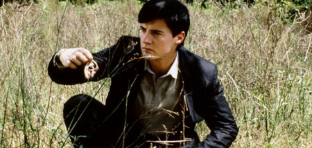 bluevelvet