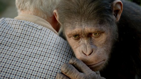 apes